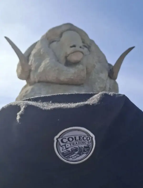 Coleco Trading patch with the Big Merino's face above it