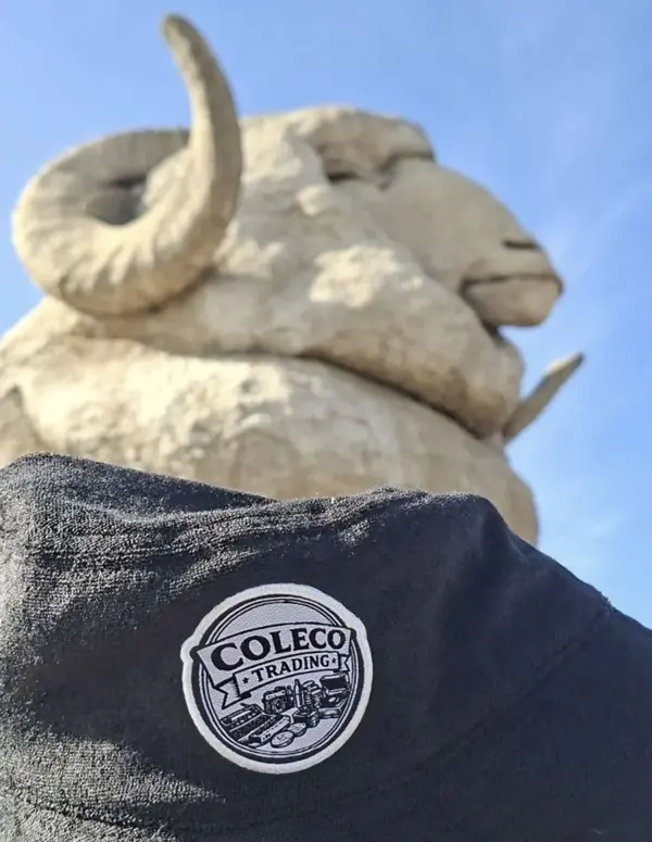 Coleco Trading patch on a black hat in front of the Big Merino
